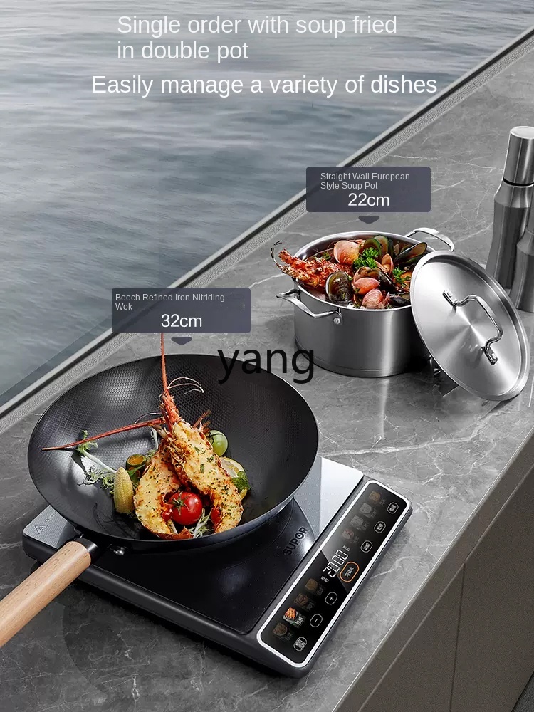 Kuchenka indukcyjna LMM High-P – Induction Cooker recenzja i cena